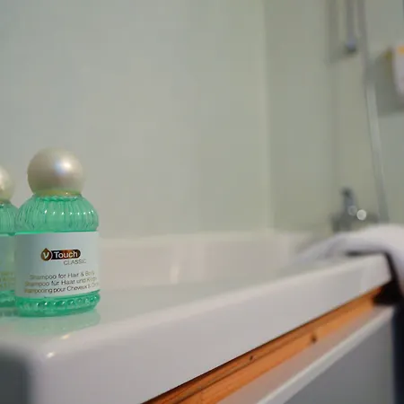 Hotel De France Saint-Savin (Vienne)