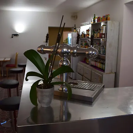 De France Hotel Saint-Savin (Vienne)