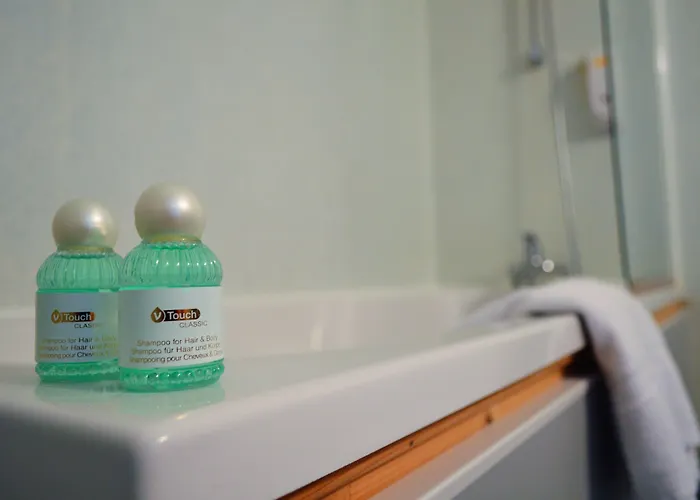 Hotel De France Saint-Savin (Vienne)