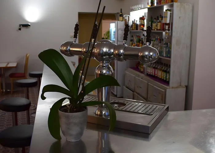 De France Hotel Saint-Savin (Vienne)